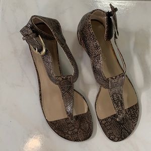 Snakeskin Print Wedge Heel with Gold Buckle ankle strap